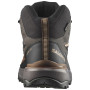 Muške cipele Salomon X Ultra 360 Mid Gore-Tex