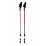 Štapovi za nordijsko hodanje Blizzard Alu Performance nordic walking poles ružičasta