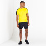 Muška majica Dare 2b Discernible Tee