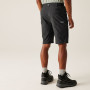 Muške kratke hlače Regatta Highton Shorts Long II