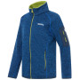 Dječja dukserica Regatta Junior Newhill Aviator Blue Golden Cypress