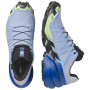 Muške tenisice za trčanje Salomon Speedcross 6 GTX Icon