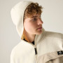 Muška dukserica Dare 2b Firn Hooded Borg Fleece