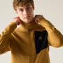 Muška dukserica Dare 2b Venture Stretch Midlayer