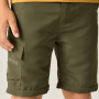 Dječje hlače Regatta Sorcer Z/O Trousers III Treetop