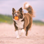 Igračka za psa Explorer Dog AirBall Tips 8 cm