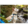 Ogrlica za psa Mountain Paws Waterproof Dog Collar