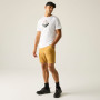 Muška majica Regatta Fingal Graphic T-Shirt