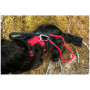 Ogrlica za psa Mountain Paws Dog Harness