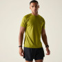 Muška majica Dare 2b Accelerate Tee