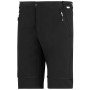 Muške hlače Regatta Mountain Z/O Trousers