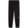 Muške trenerke The North Face M Mountain Athletics Fleece Pant 2.0