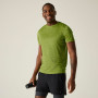 Muška majica Regatta Fingal Edition