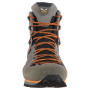 Muške cipele Salewa Ms Mtn Trainer 2 Winter Gtx