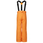Dječje skijaške hlače Dare 2b Outmove III Insulated Pant ElectricOrng