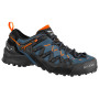 Muška obuća Salewa Ms Wildfire Edge Gtx