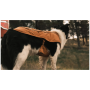 Odjeća za psa Ruffwear Overcoat Fuse™ Insulated Vest