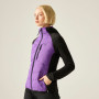 Ženska oudoor jakna Dare 2b Womens Aerofse Padded Hybrid Jacket