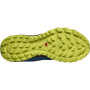 Muške cipele Salomon Trailster 2 GTX