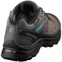 Ženske cipele Salomon X Ultra 3 Ltr GTX W