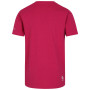 Dječja majica Dare 2b Trailblazer II Tee