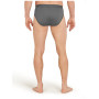 Muško donje rublje Icebreaker Mens Anatomica Briefs