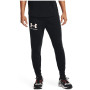 Muške trenerke Under Armour Rival Terry Jogger