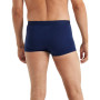 Muške bokserice Icebreaker M Anatomica Cool-Lite Trunks