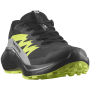 Muške tenisice za trčanje Salomon Alphaglide Gore-Tex