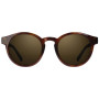 Sunčane naočale Vallon Waylons - polarized smeđa Chestnut