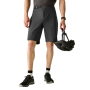 Muške kratke hlače Dare 2b Descent Short