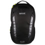 Ruksak Regatta Britedale 20L