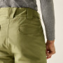 Muške hlače Dare 2b Baseplate Insulated Pant