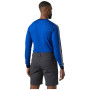 Muške funkcionalne majice Helly Hansen HH Lifa Stripe Crew