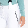 Ženske skijaške hlače Dare 2b Diminish Pant