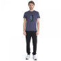Muške funkcionalne majice Icebreaker Men Merino Core SS Tee Waschbar Wandering