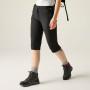 Ženske 3/4 hlače Regatta Women’s Xert Stretch Capri Light
