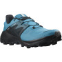 Muške cipele Salomon Wildcross 2 Gore-Tex plava BarrierReef
