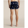 Muške funkcionalne bokserice Icebreaker Men M 150 Anatomica Boxers BearTourAOP