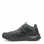 Muške cipele Scarpa Rove Gtx