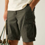 Muške kratke hlače Regatta Shorebay Shorts II