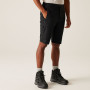 Muške kratke hlače Regatta Highton Shorts Long II