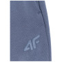 Muške hlače 4F Trousers Cas M1139
