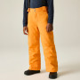 Dječje skijaške hlače Dare 2b Outmove III Insulated Pant ElectricOrng