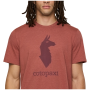Muška majica Cotopaxi M'S Cotopaxi Llama T-Shirt