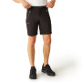 Muške kratke hlače Regatta Xert Stretch Shorts III