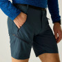 Muške kratke hlače Regatta Xert Stretch Shorts