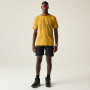 Muška majica Dare 2b Movement III Tee
