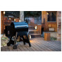 Gril Traeger PRO 22