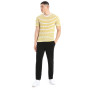 Muška majica Icebreaker Drayden SS Tee Stripe
